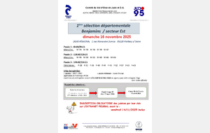 Sélection 1 benjamins : Secteur est 